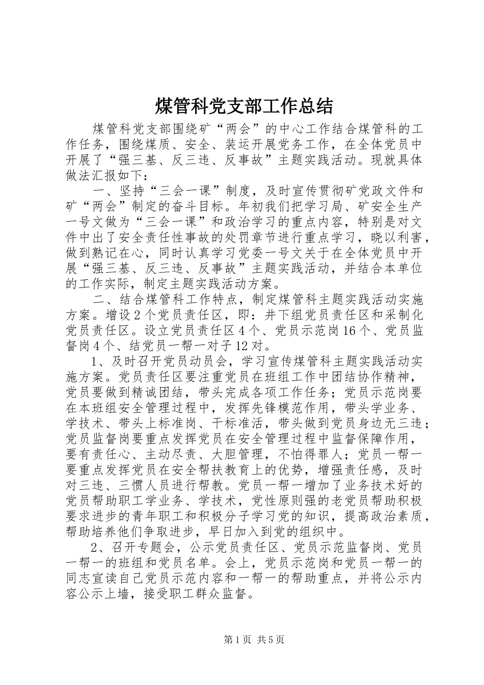 2024年煤管科党支部工作总结_第1页