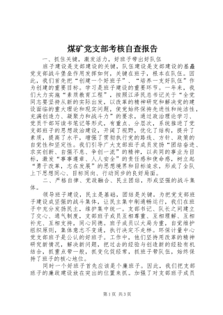 2024年煤矿党支部考核自查报告