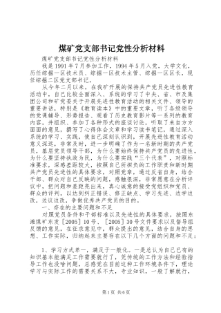2024年煤矿党支部书记党性分析材料