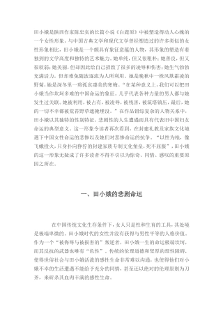 田小娥命运分析 长篇小说《白鹿原》  汉语言文学专业