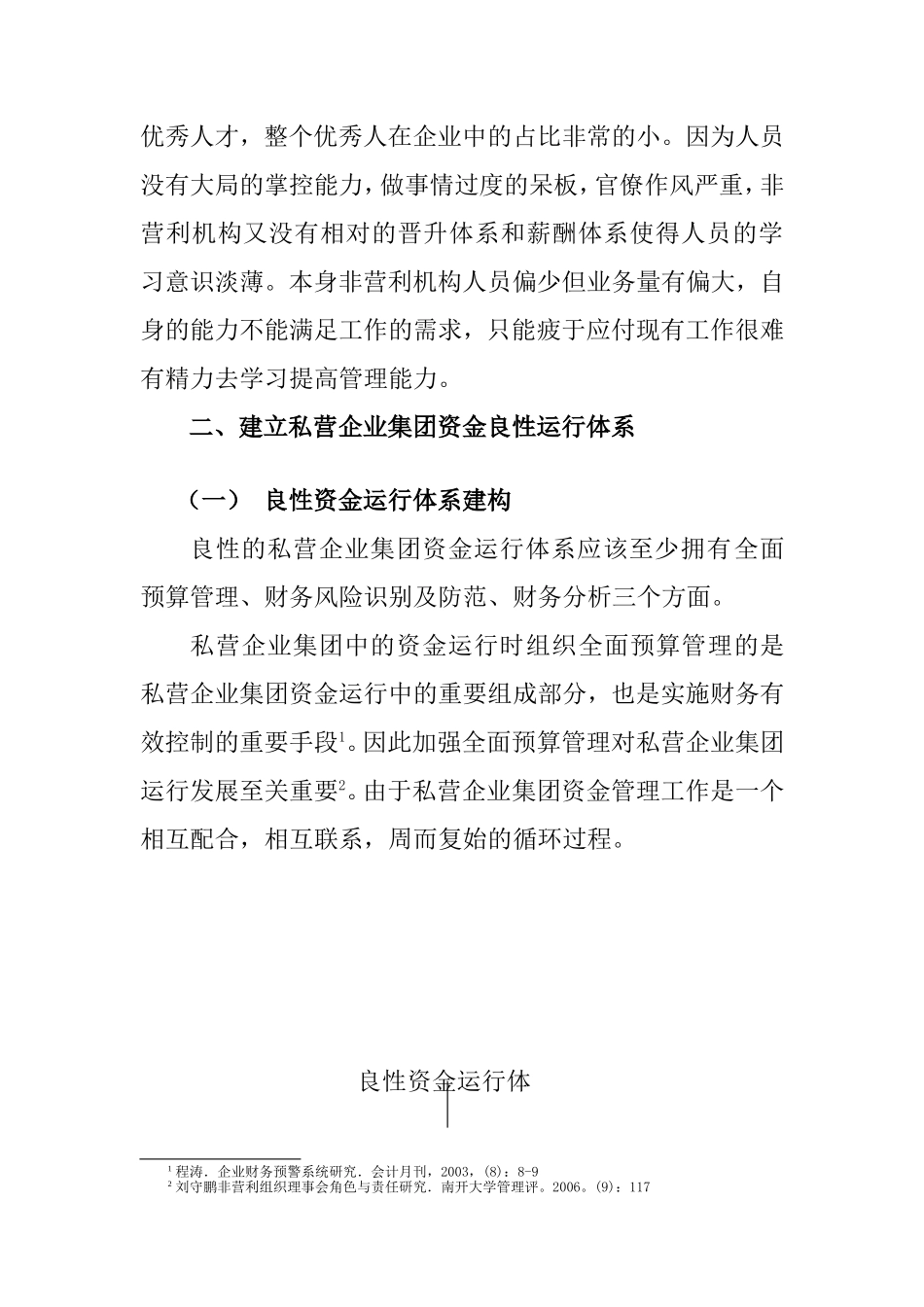 私营企业集团资金良性运行研究分析  财务管理专业_第3页