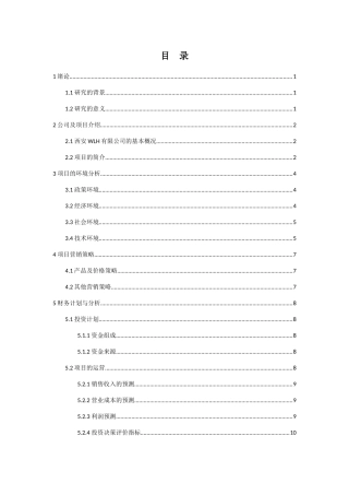 西安WLH有限公司优速购项目商业计划书