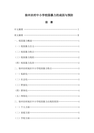 徐州农村中小学校园暴力的成因与预防分析研究  公共管理专业