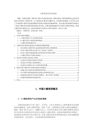 小额贷款体系的构建分析研究  财务管理专业