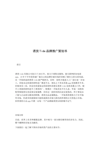 诱货Tide品牌推广策划书  会展管理专业