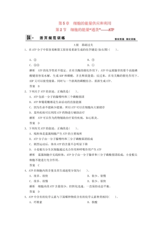 高中生物 第5章 第2节细胞的能量“通货” ATP活页规范训练 新人教版必修1 