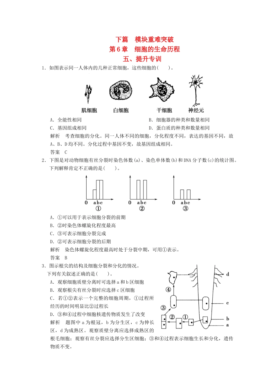 高中生物下篇 第6章 细胞的生命历程提升专训 新人教版必修1_第1页