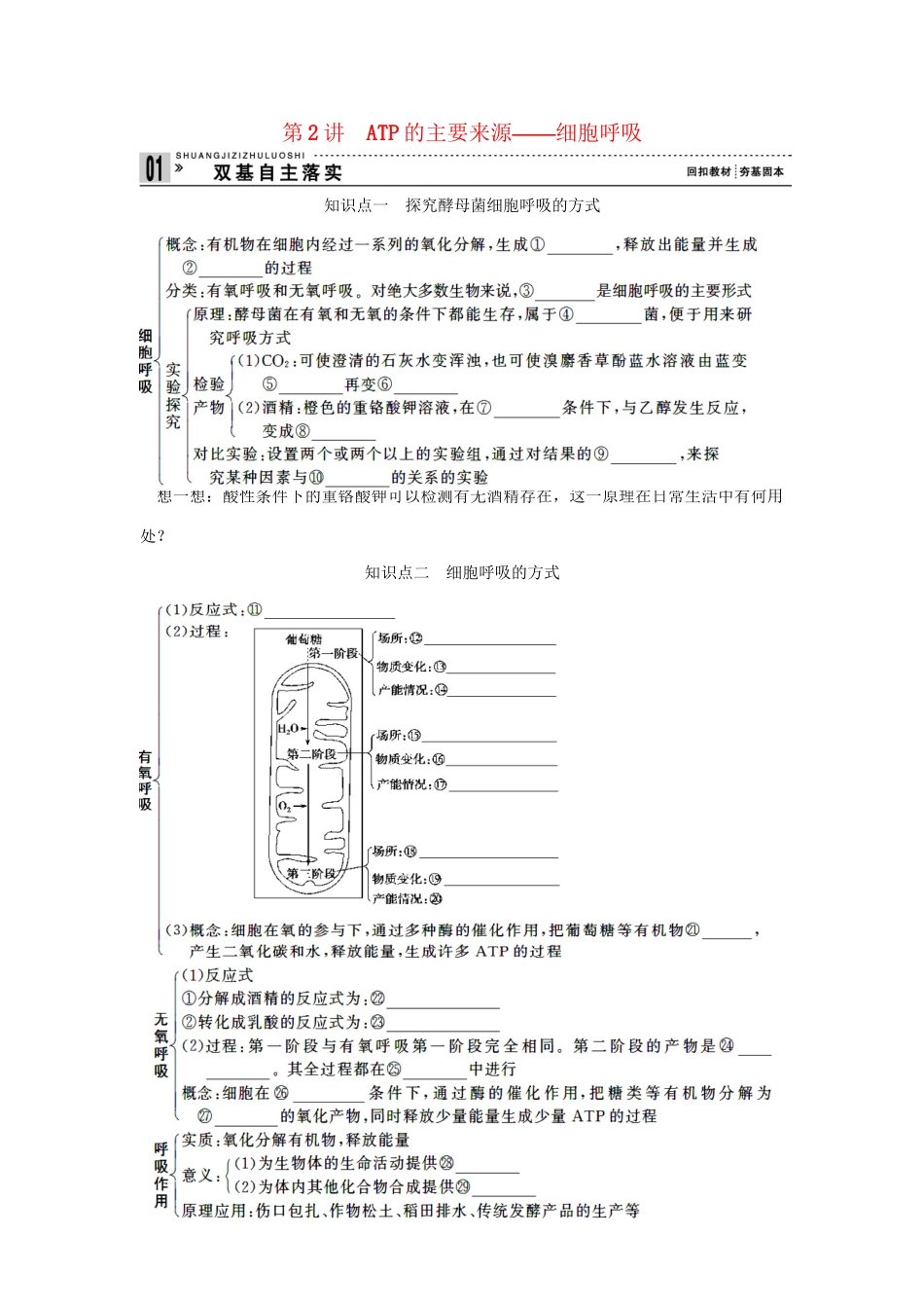 高考生物一轮复习 用书 第二单元 第2讲ATP的主要来源 新人教版必修1_第1页