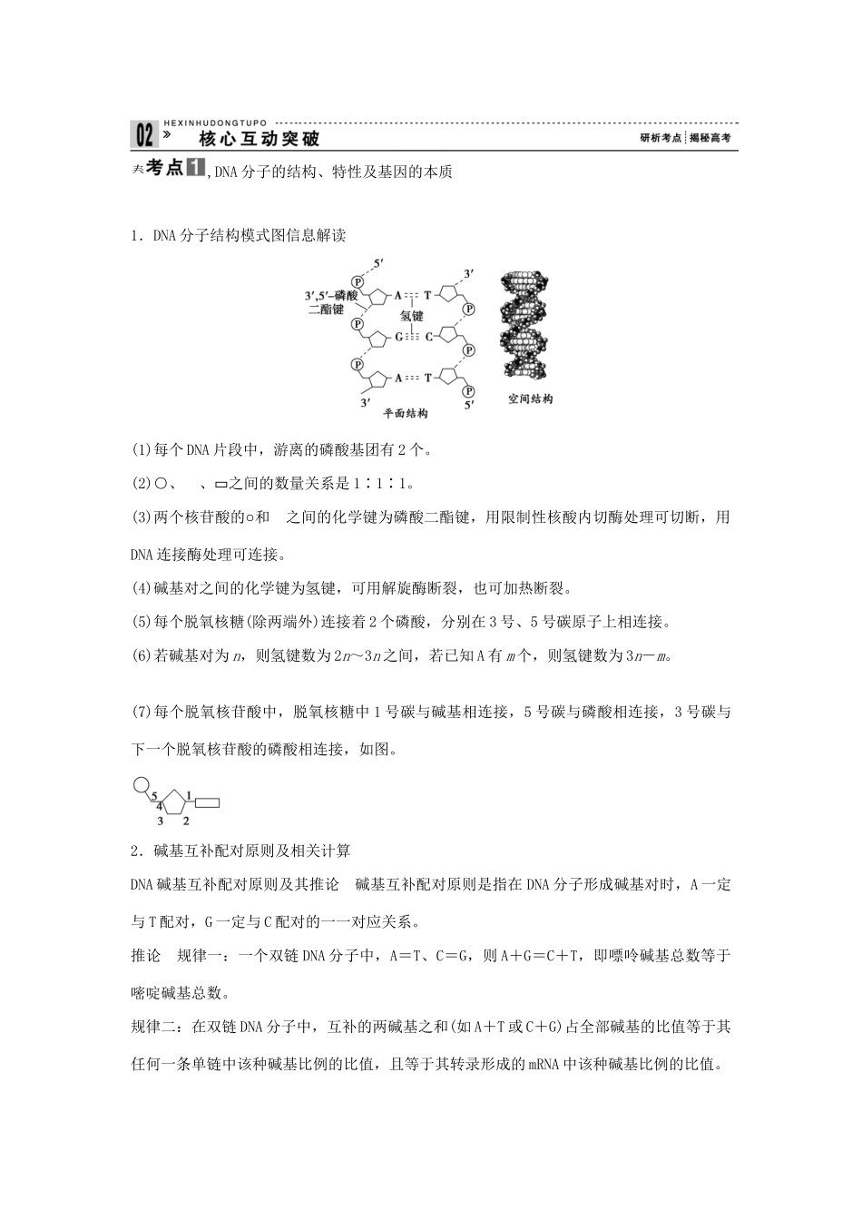 高考生物一轮复习 用书 第二单元 第2讲DNA分子的结构 新人教版必修2_第3页