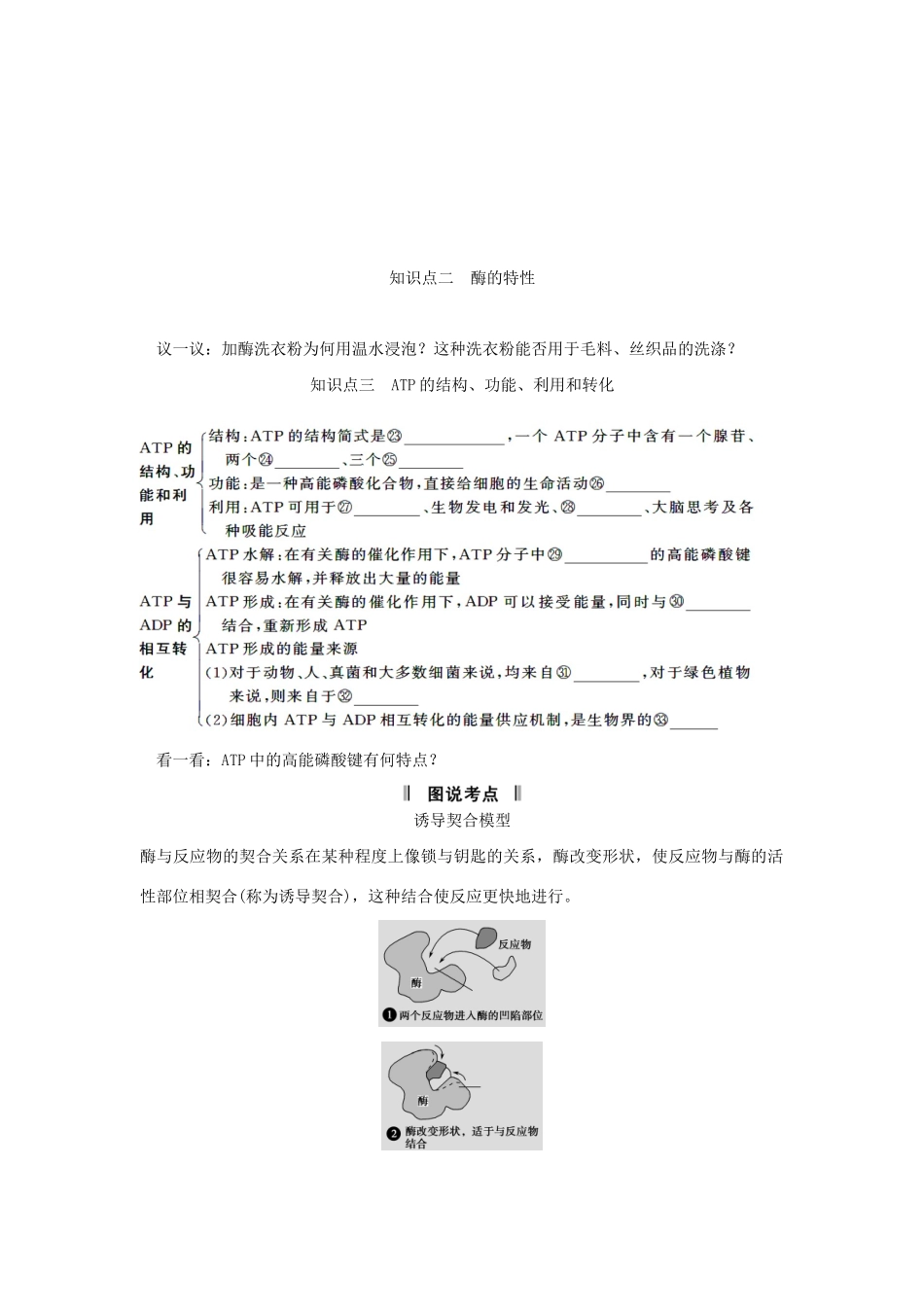 高考生物一轮复习 用书 第三单元 第1讲　降低化学反应活化能的酶 新人教版必修1_第2页