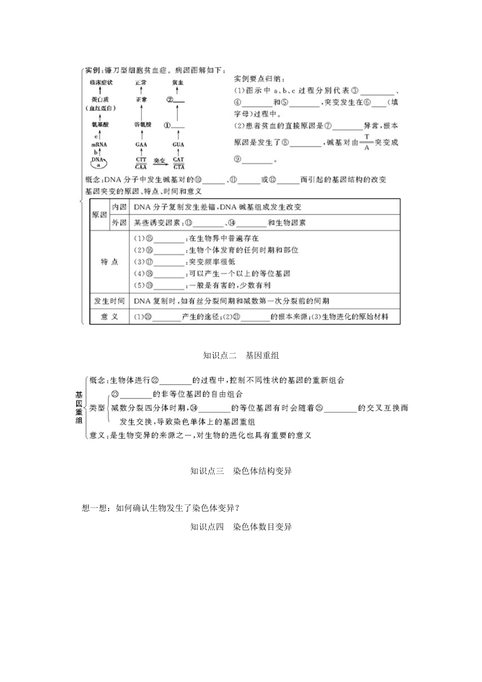 高考生物一轮复习 用书 第三单元 第1讲　生物的变异 新人教版必修2_第2页