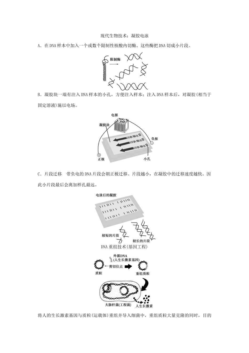 高考生物一轮复习 用书 第三单元 第3讲从杂交育种到基因工程 新人教版必修2_第2页
