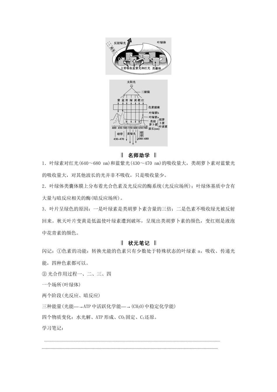 高考生物一轮复习 用书 第三单元 第3讲能量之源 新人教版必修1_第2页