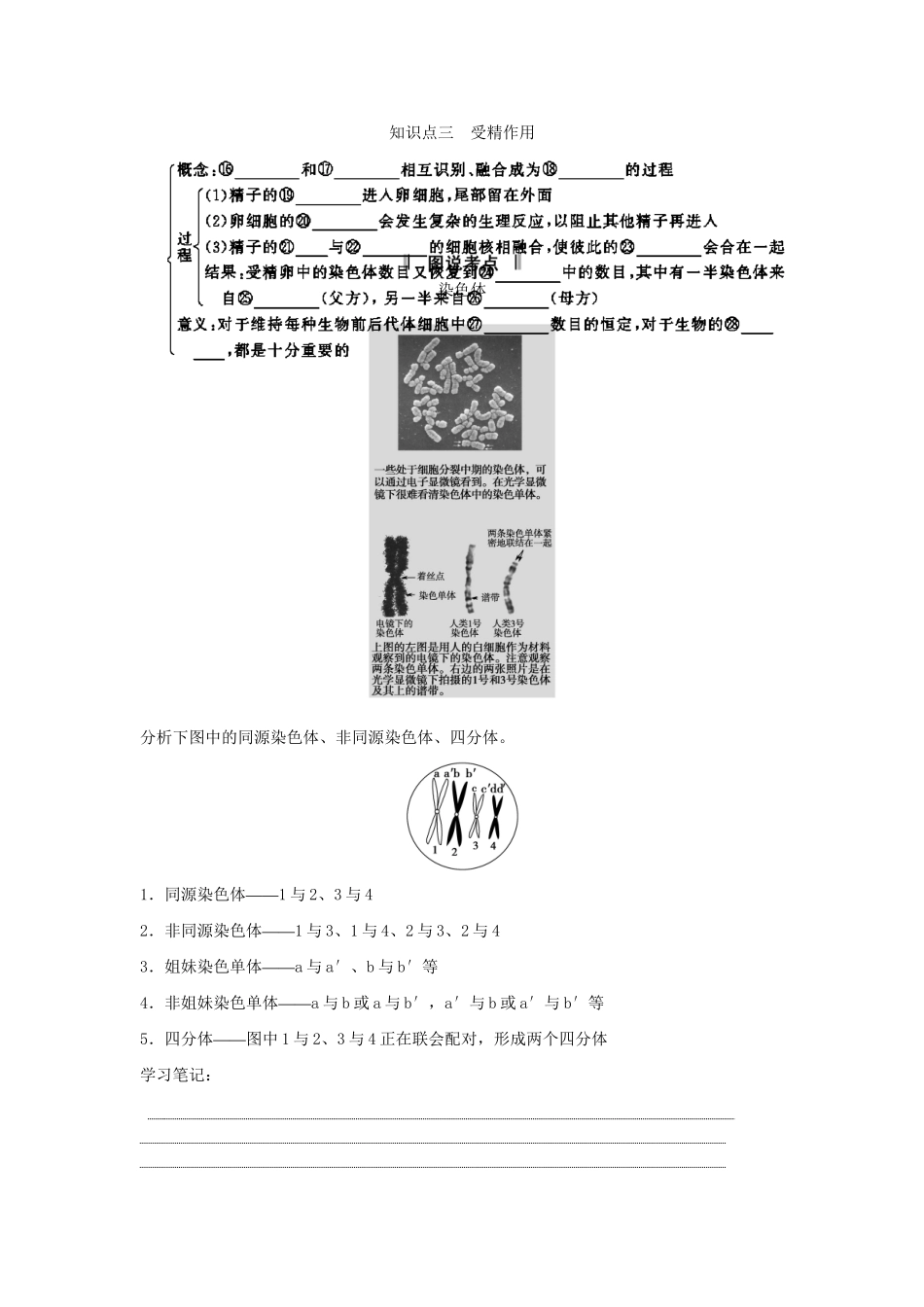 高考生物一轮复习 用书 第一单元 第3讲减数分裂和受精作用 新人教版必修2_第2页