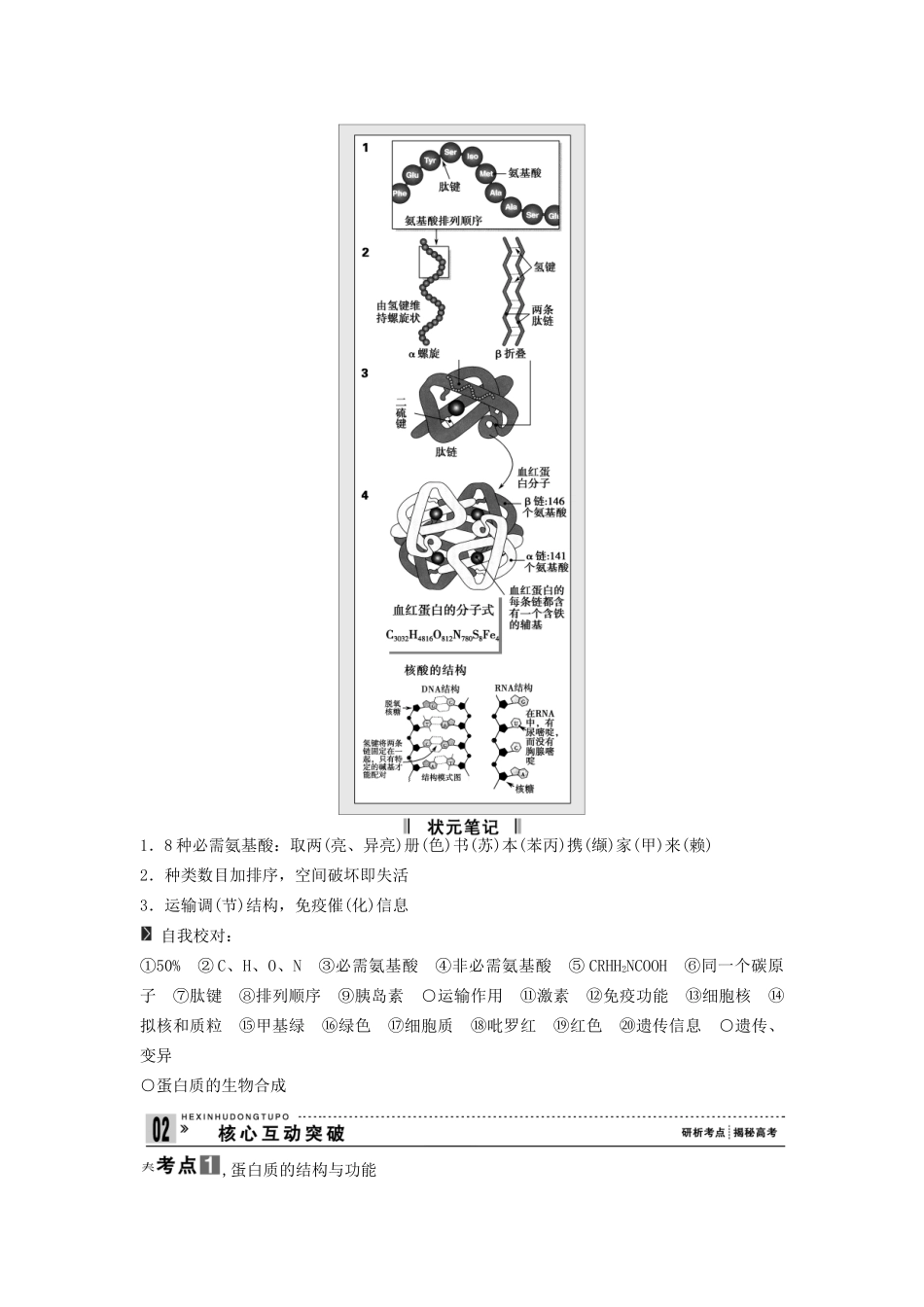 高考生物一轮复习 用书 第一单元 第3讲生命活动的主要承担者 新人教版必修1_第2页