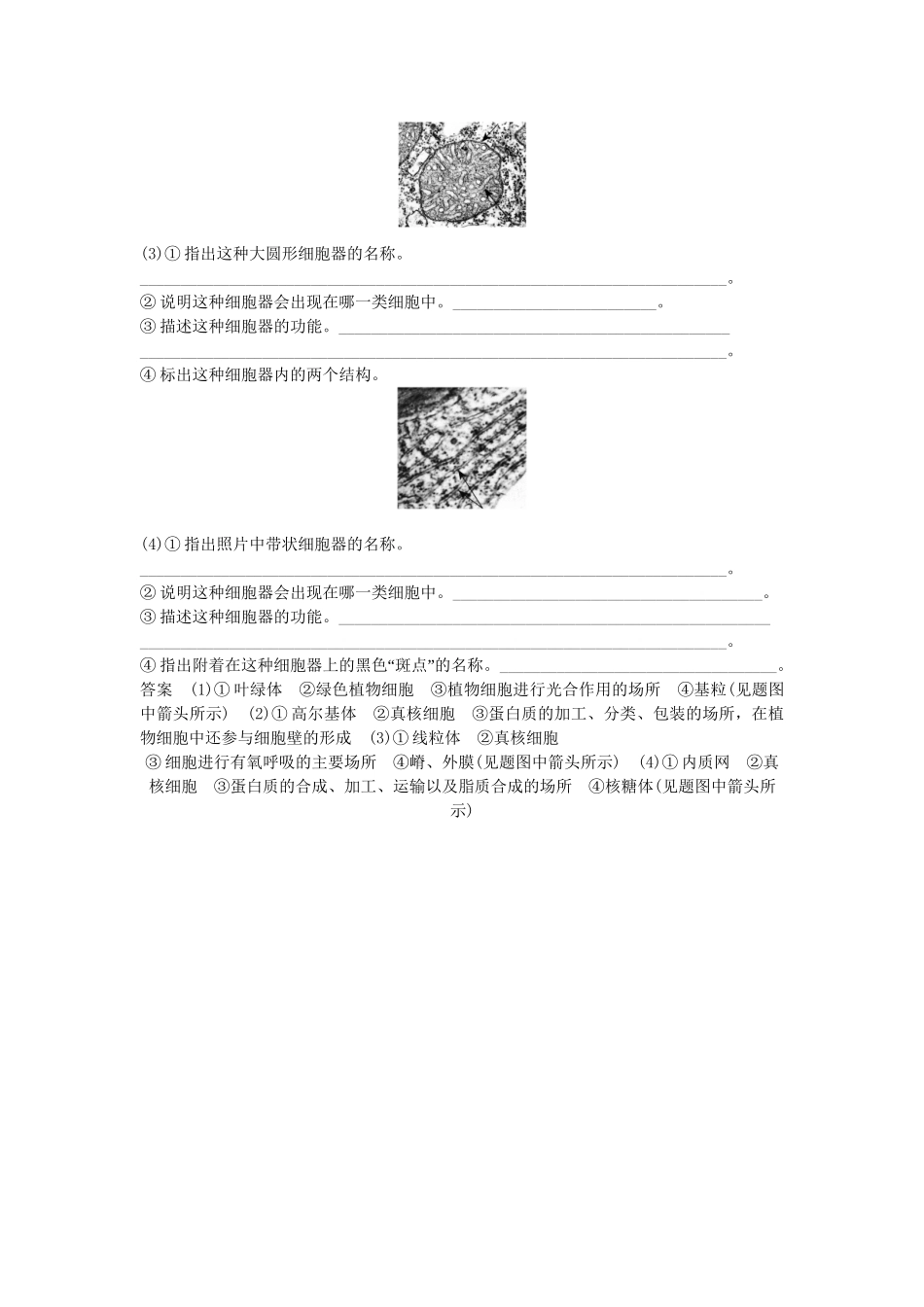 高考生物一轮复习 用书 专项升格集训1 新人教版必修1_第3页