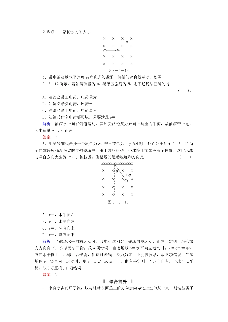 高中物理 3.5 研究洛伦兹力同步练习 粤教版选修3-1_第2页