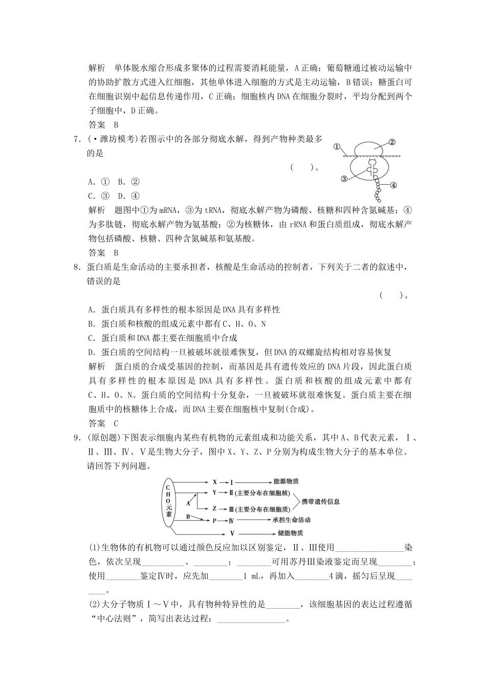 高考生物一轮复习 1-1-3 生命活动的主要承担者 蛋白质 遗传信息的携带者 核酸限时训练_第3页