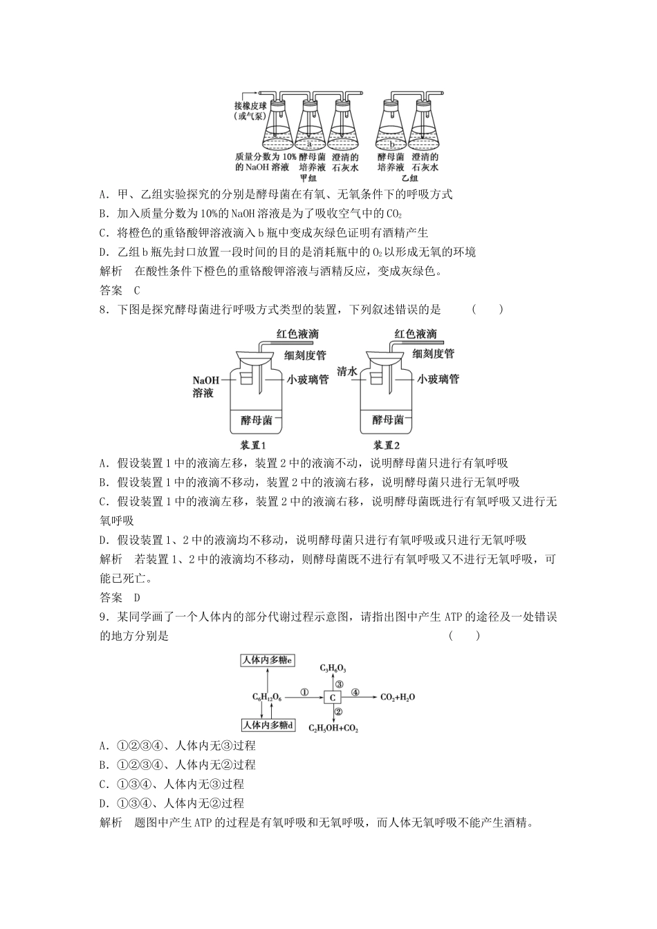 高考生物一轮复习 1-3-2 ATP的主要来源 细胞呼吸课时训练 新人教版必修1_第3页