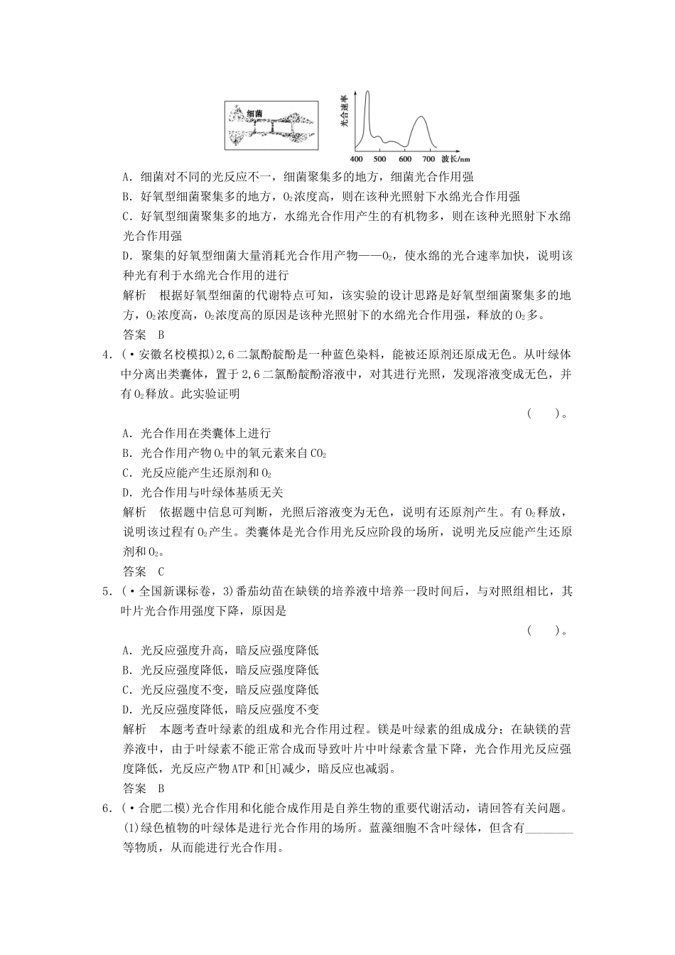 高考生物一轮复习 1-3-3 能量之源 光与光合作用限时训练_第2页