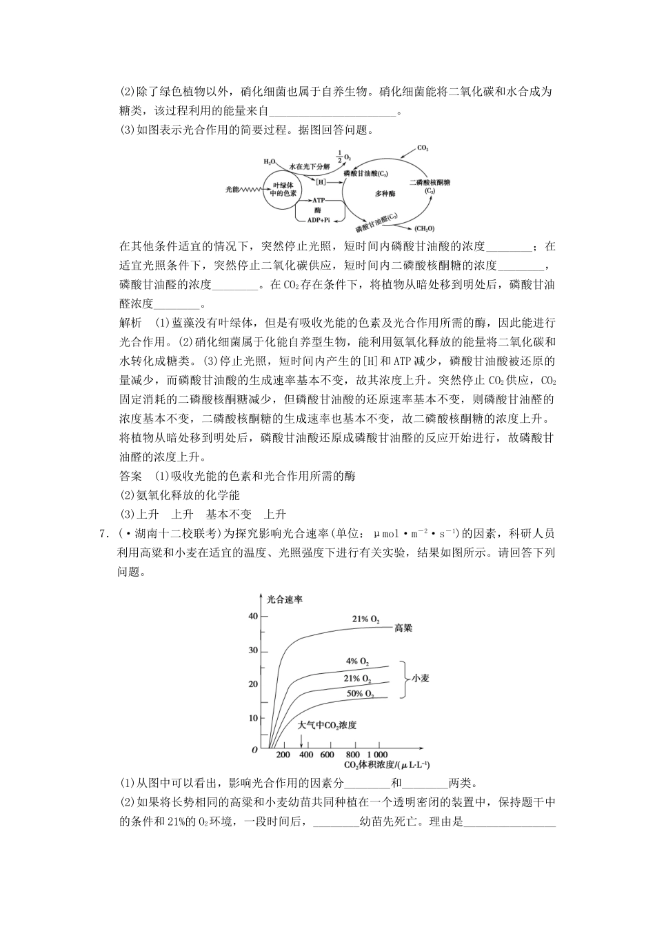 高考生物一轮复习 1-3-3 能量之源 光与光合作用限时训练_第3页