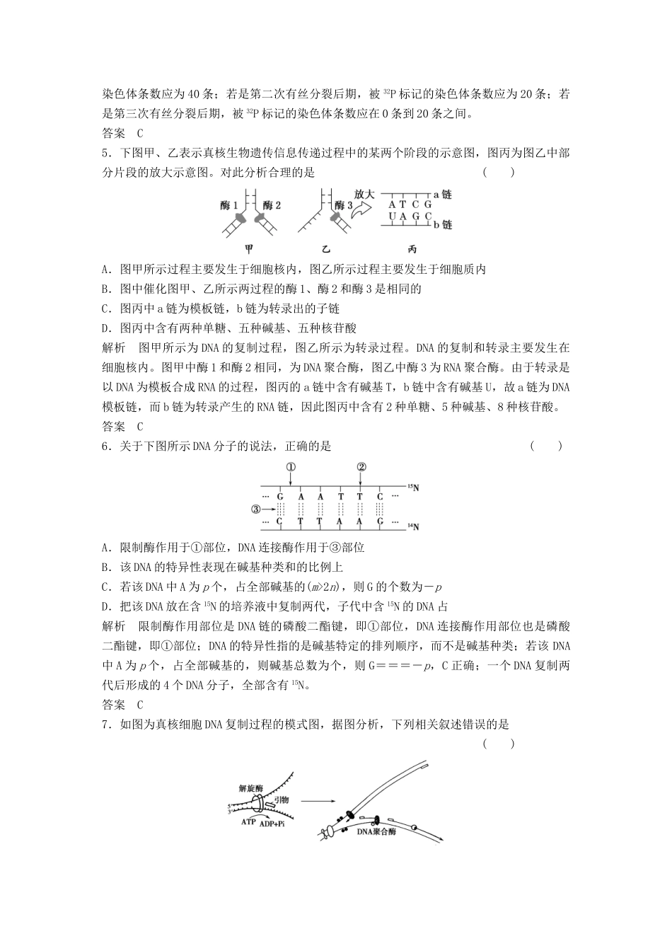 高考生物一轮复习 2-2-2 DNA分子的结构、复制及基因是有遗传效应的DNA片段课时训练 新人教版必修2_第2页