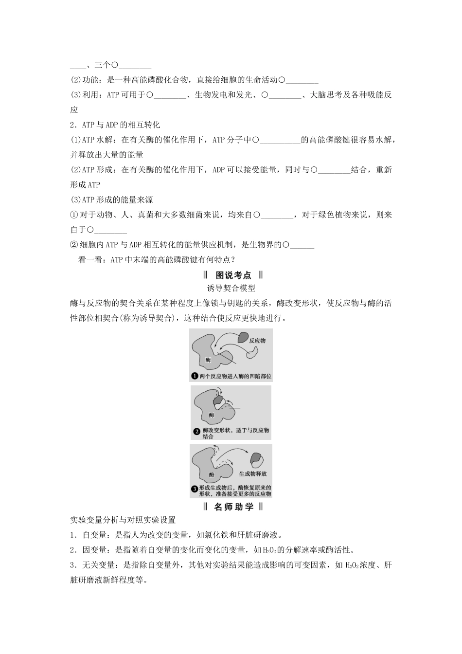 高考生物一轮复习 3-1 降低化学反应活化能的酶  细胞的能量“通货” ATP课时训练 新人教版必修1_第2页