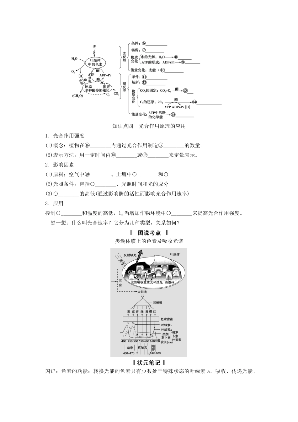 高考生物一轮复习 3-3 能量之源 光与光合作用课时训练 新人教版必修1_第2页