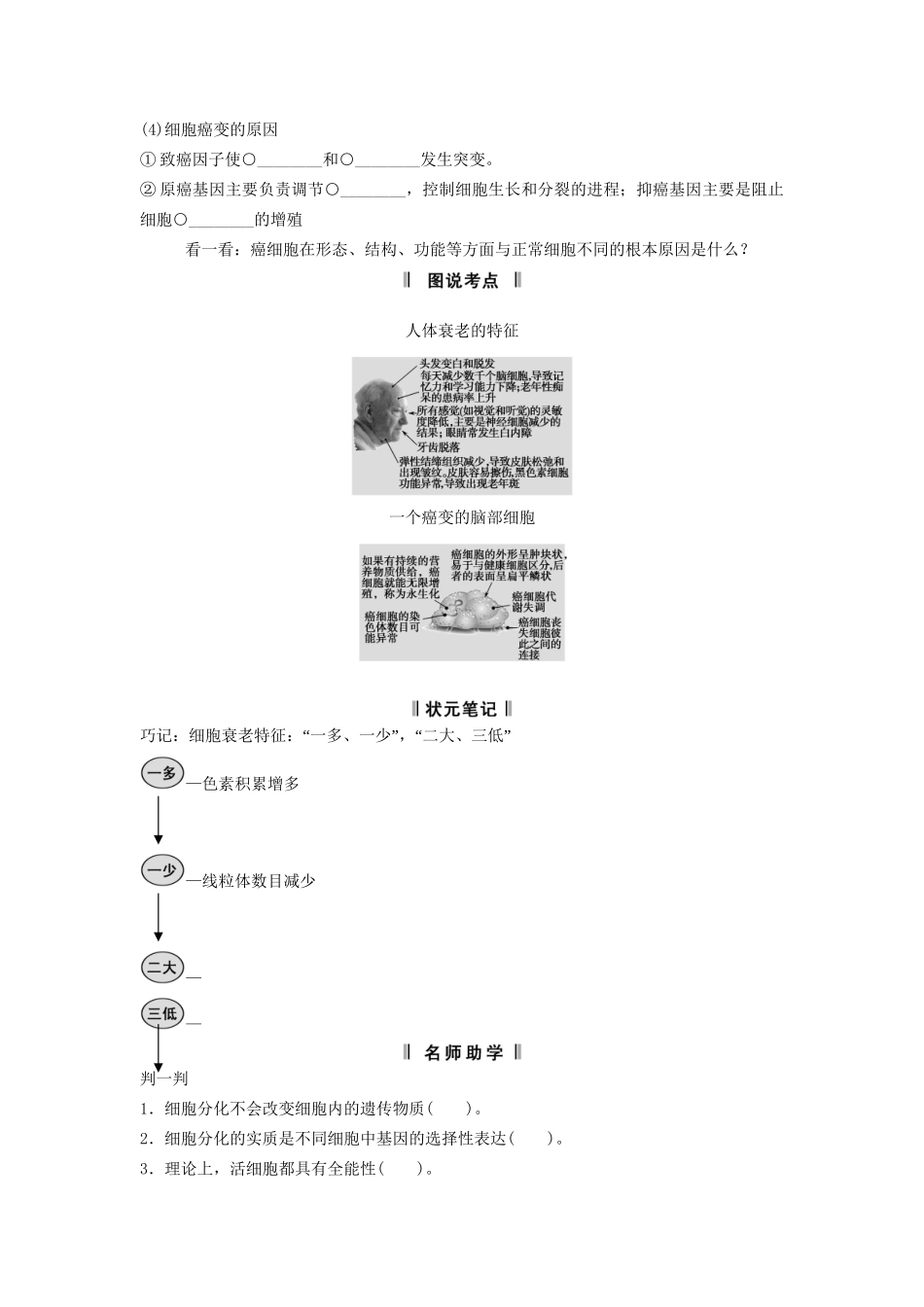 高考生物一轮复习 4-2 细胞的分化、衰老和凋亡、癌变课时训练 新人教版必修1_第2页