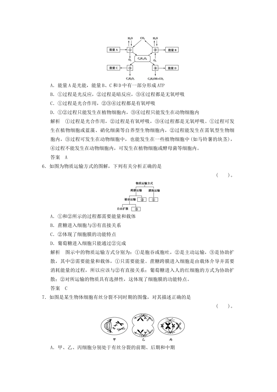 高考生物一轮复习 滚动检测4限时训练_第3页