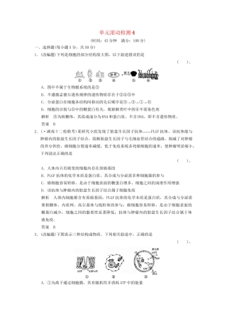 高考生物一轮复习 滚动检测4限时训练