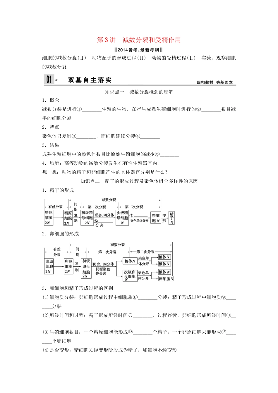 高考生物一轮复习方案 1-3 减数分裂和受精作用 新人教版必修2_第1页