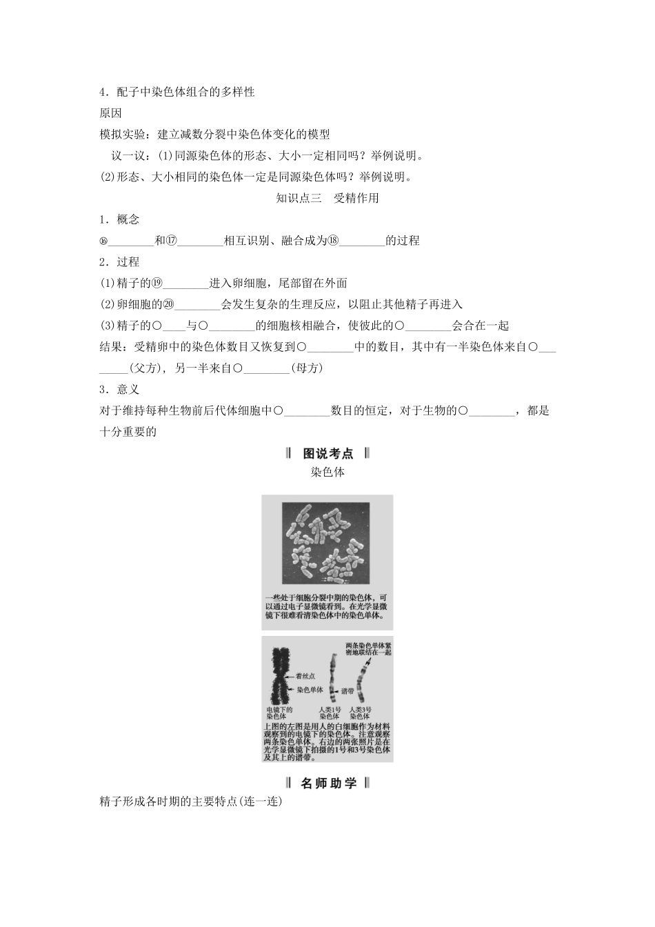 高考生物一轮复习方案 1-3 减数分裂和受精作用 新人教版必修2_第2页