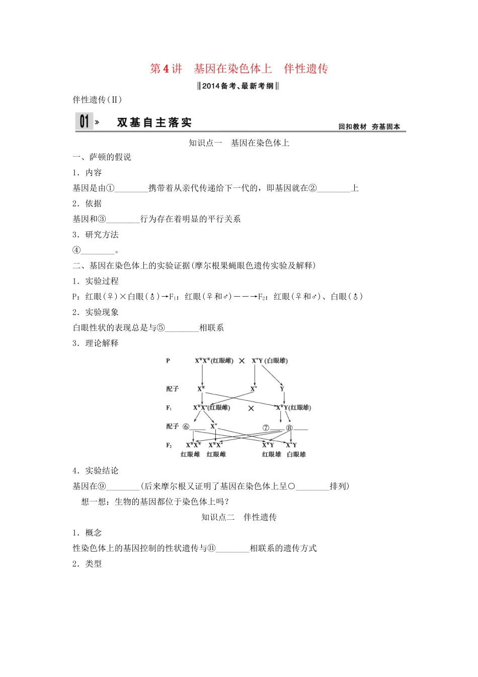 高考生物一轮复习方案 1-4 基因在染色体上　伴性遗传 新人教版必修2_第1页