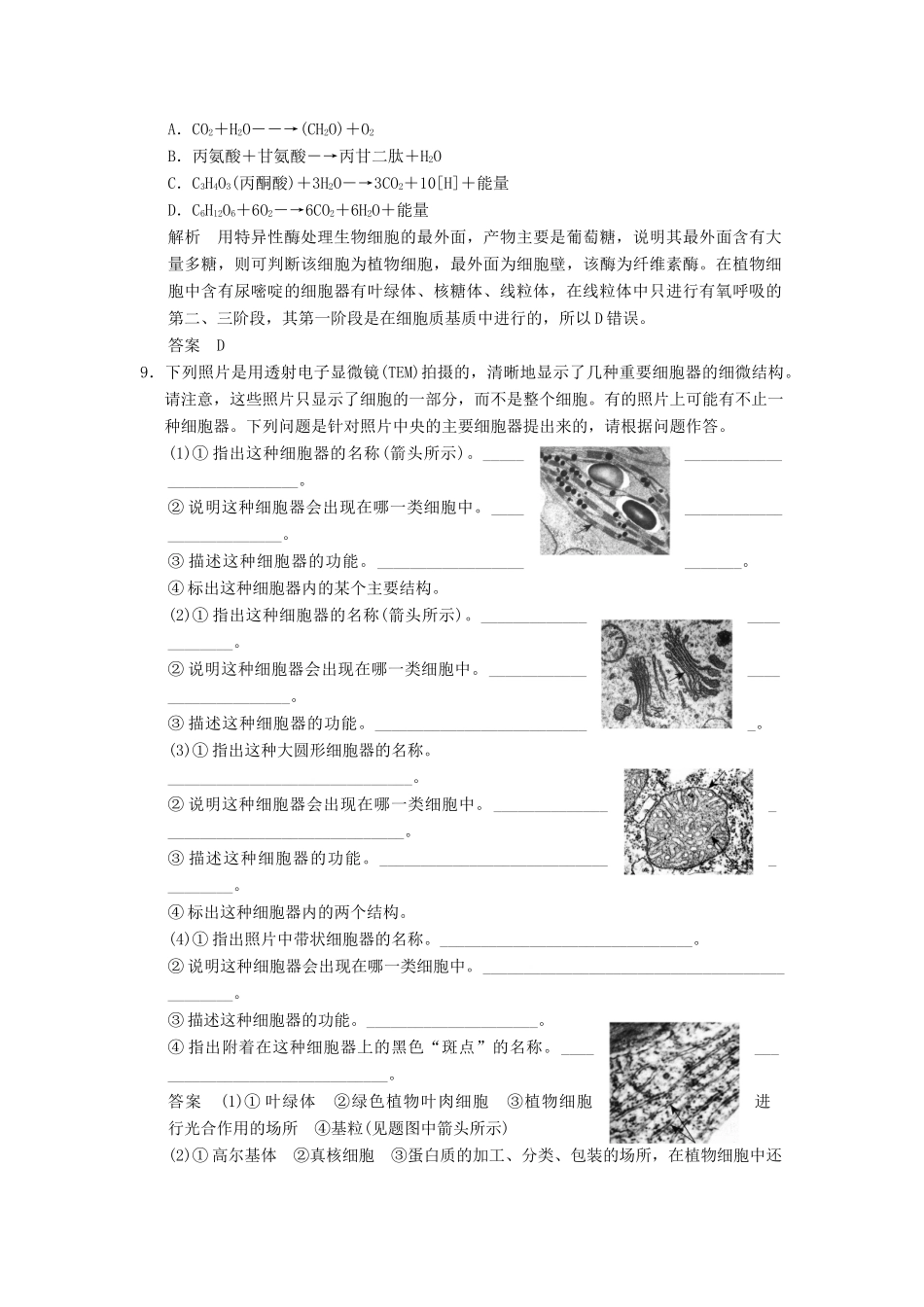 高考生物总复习 1-2-2细胞器 系统内的分工与合作训练 新人教版必修1_第3页