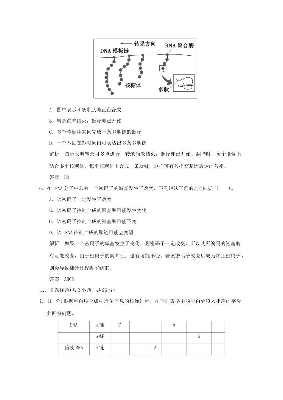 高中生物 41基因指导蛋白质的合成活页规范训练 新人教版必修2_第3页
