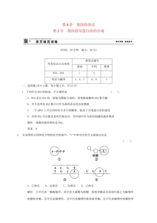 高中生物 41基因指导蛋白质的合成活页规范训练 新人教版必修2