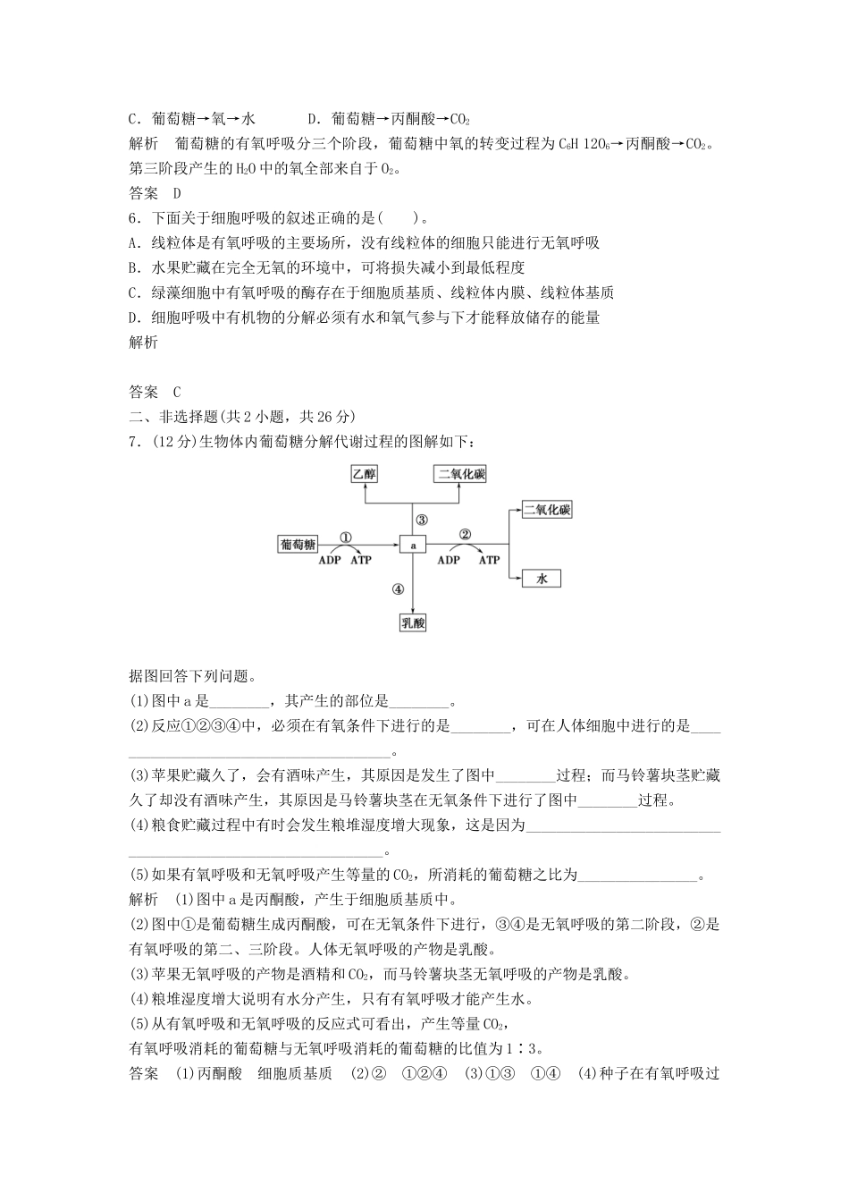 高中生物 53ATP的主要来源 细胞呼吸活页规范训练 新人教版必修1_第2页
