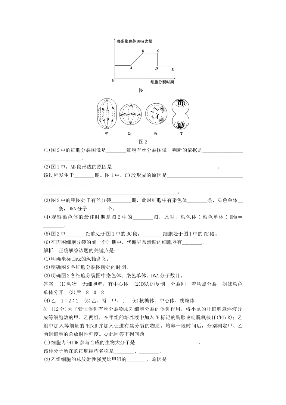 高中生物 61细胞的增殖活页规范训练 新人教版必修1_第3页
