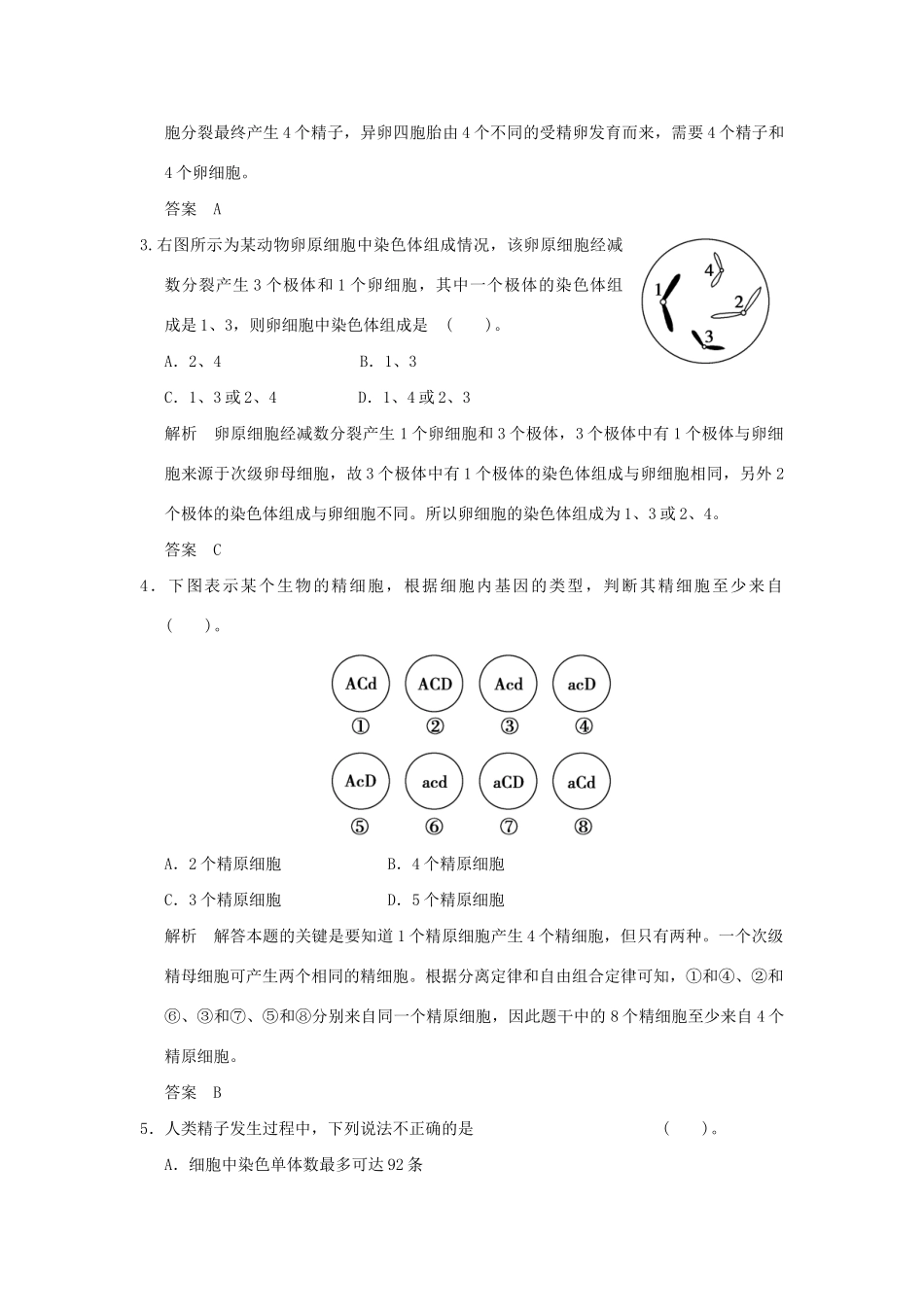 高中生物 212配子中染色体组合的多样性活页规范训练 新人教版必修2_第2页