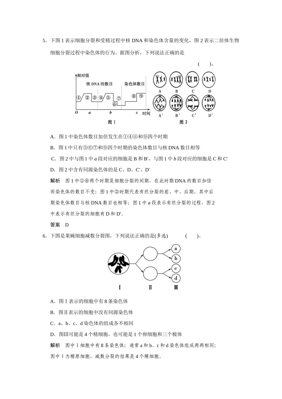 高中生物 2-1-2生殖细胞的形成同步教学导学导练 苏教版必修2_第3页