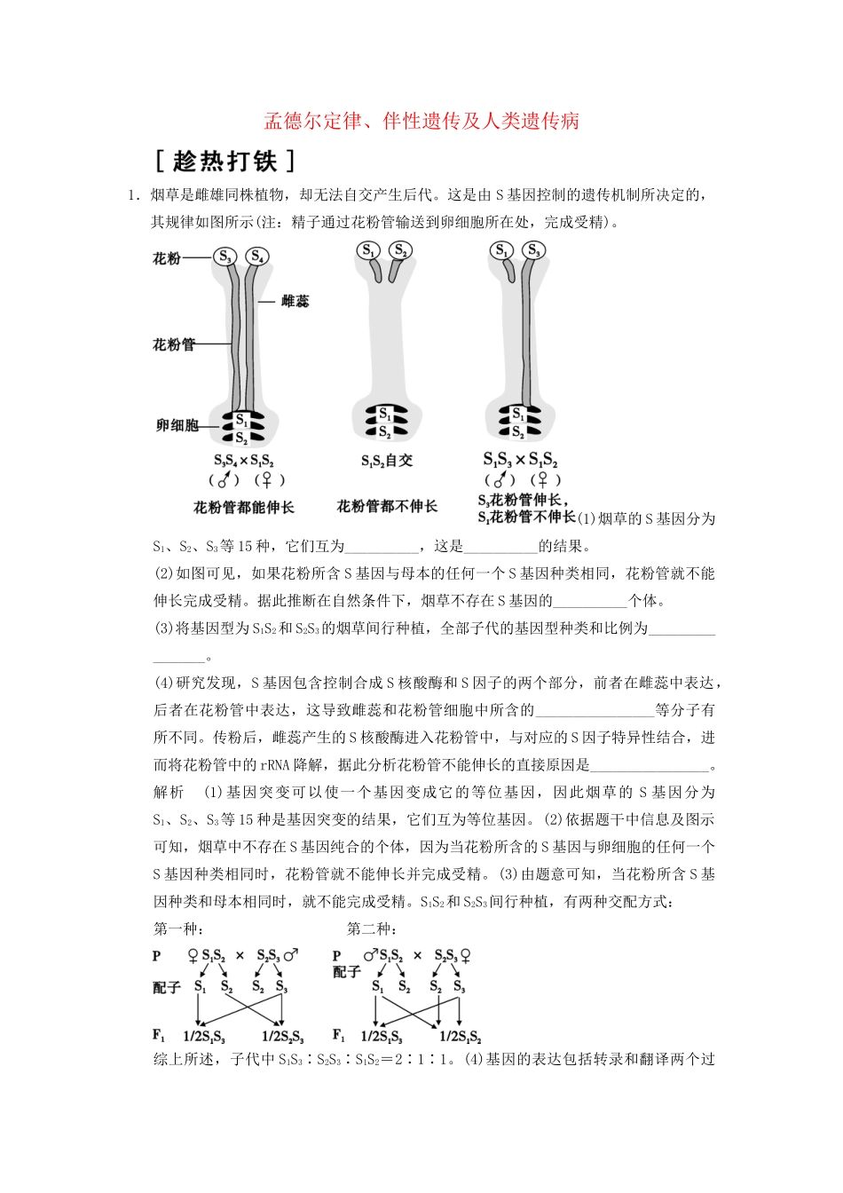 高考生物二轮专题复习  突破非选择题8个高频考点 考点2 孟德尔定律、伴性遗传及人类遗传病_第1页