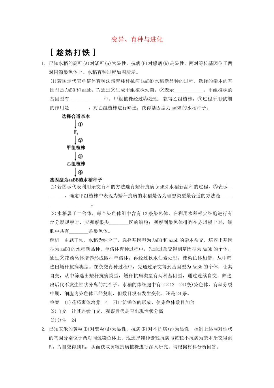 高考生物二轮专题复习  突破非选择题8个高频考点 考点3 变异、育种与进化_第1页