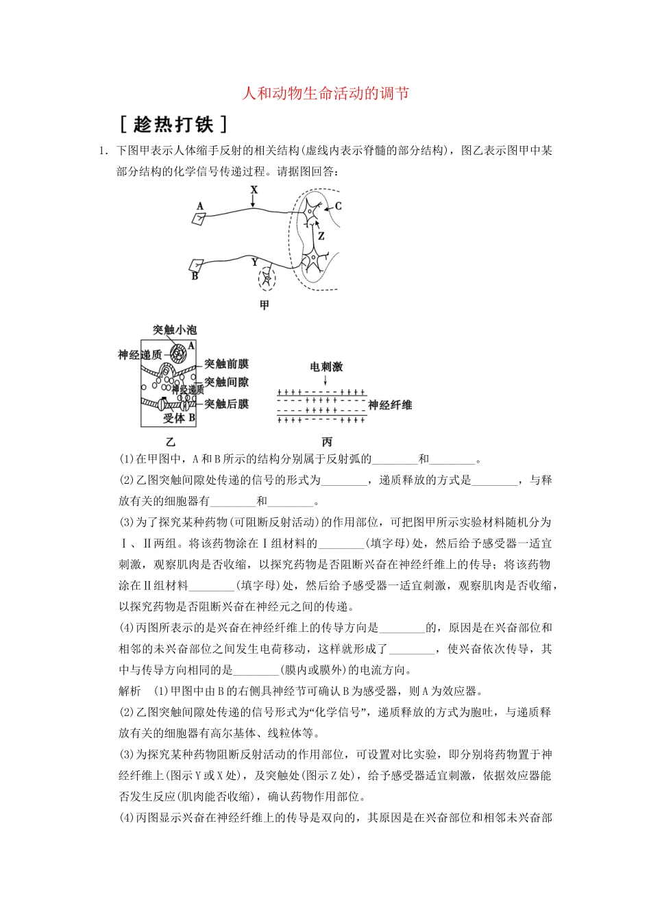 高考生物二轮专题复习  突破非选择题8个高频考点 考点5 人和动物生命活动的调节_第1页