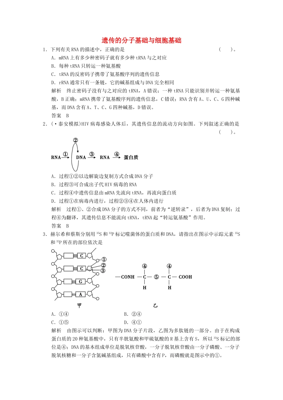 高考生物二轮专题复习  突破选择题11个高频考点 考点4 遗传的分子基础与细胞基础_第1页