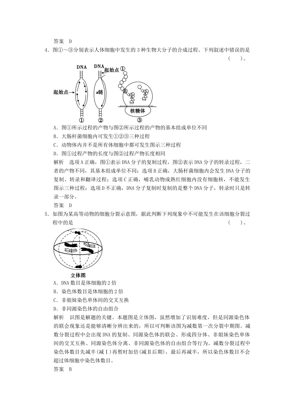 高考生物二轮专题复习  突破选择题11个高频考点 考点4 遗传的分子基础与细胞基础_第2页