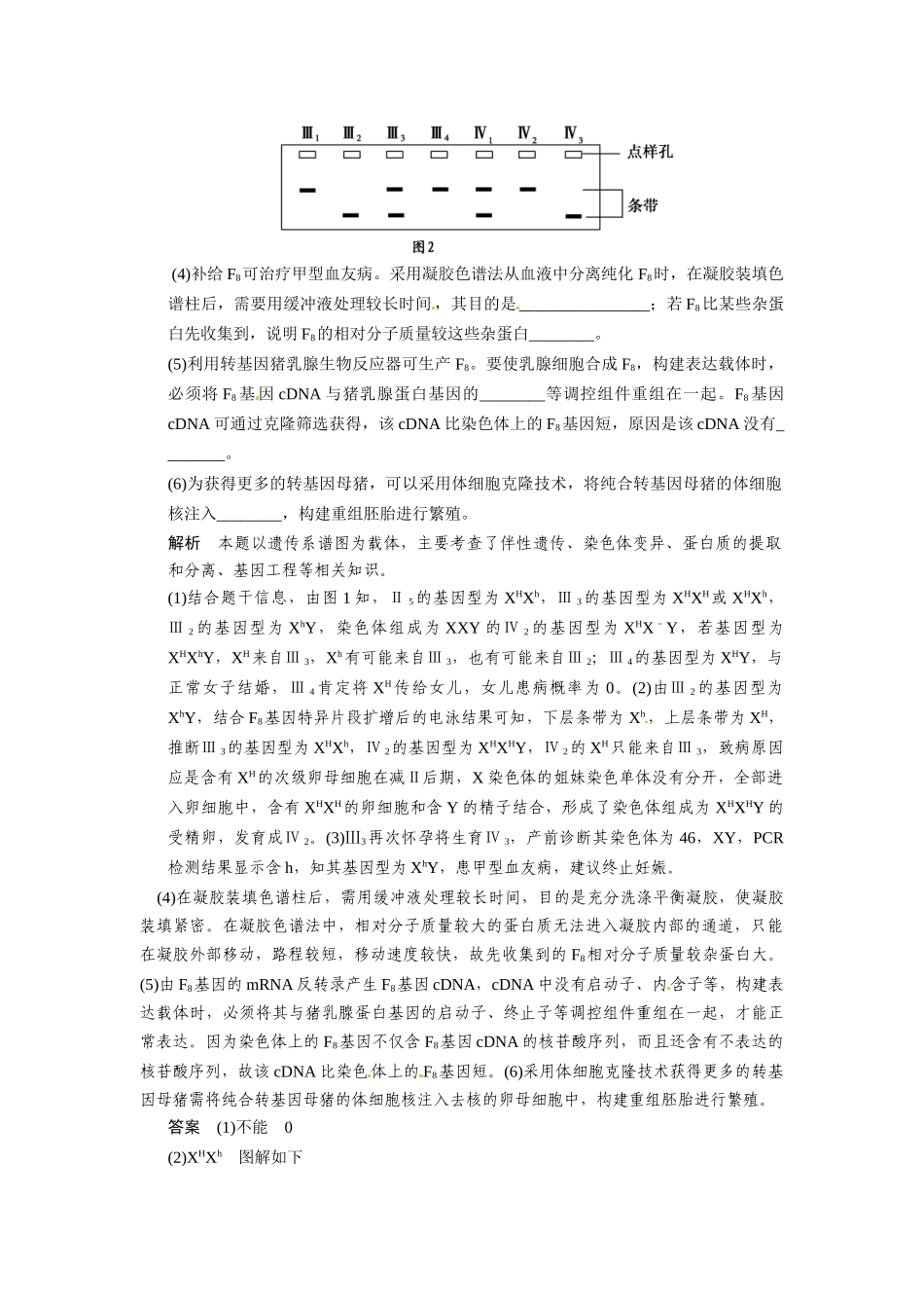 高考生物一轮精细复习 培优讲堂（五）遗传病概率求解“正常人群”中“杂合子”取值及电泳图谱辨析_第3页