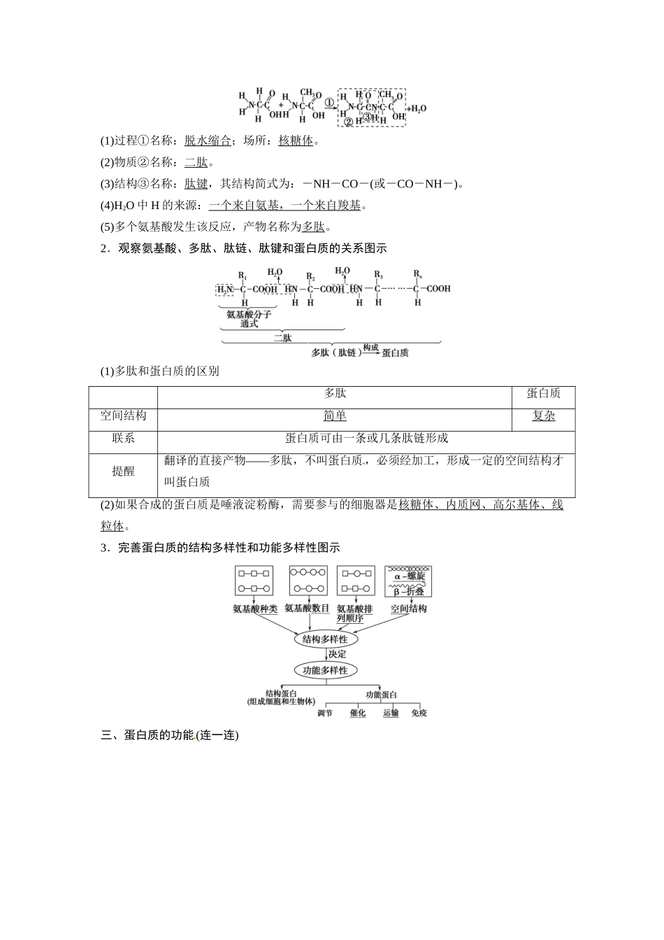 高考生物总复习 基础知识 1-1-3 生命活动的主要承担者 蛋白质 考点1 蛋白质的结构和功能及其多样性（518考）新人教版必修1_第2页