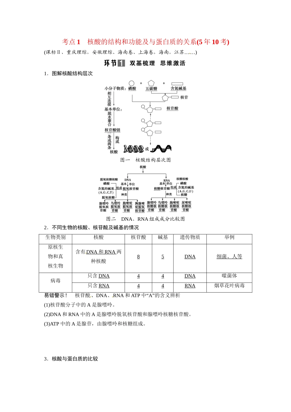高考生物总复习 基础知识 1-1-4 遗传信息的携带者 核酸 细胞中的糖类和脂质 考点1 核酸的结构和功能及与蛋白质的关系（510考）新人教版必修1_第1页