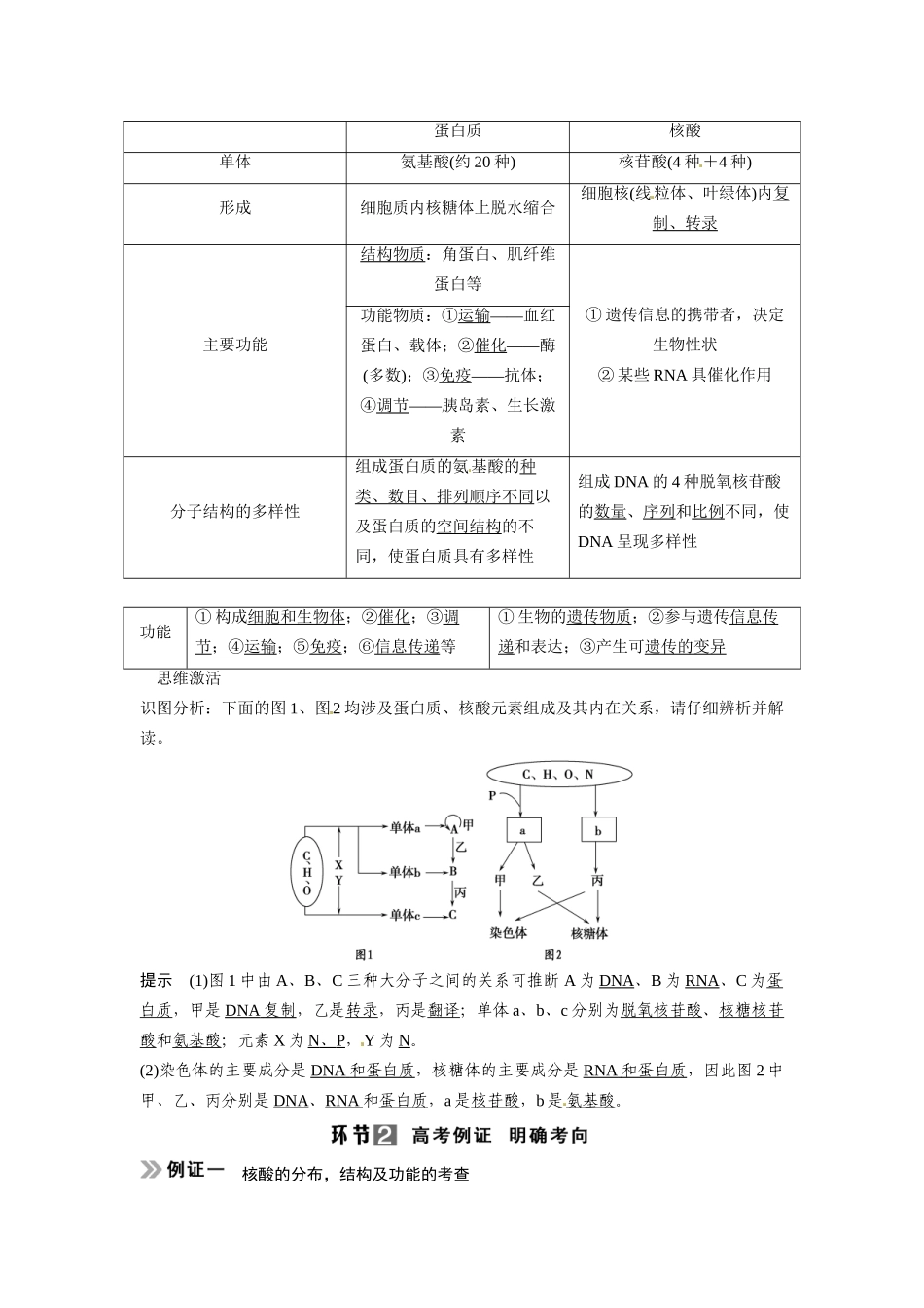 高考生物总复习 基础知识 1-1-4 遗传信息的携带者 核酸 细胞中的糖类和脂质 考点1 核酸的结构和功能及与蛋白质的关系（510考）新人教版必修1_第2页